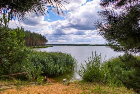 Зэльвенскі дыяруш