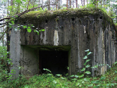 Route № 425 «Fortifications»