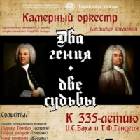 Chamber Orchestra Concert