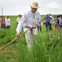 Festival – contest of kostsov «Lіpnіshkaskіya senakosa» 