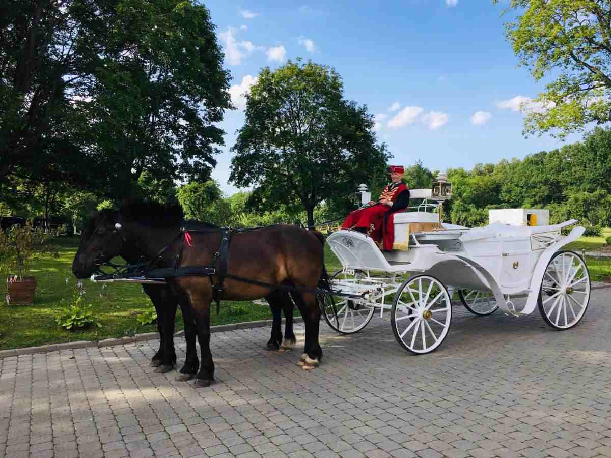 Guided tour during the provision of a horse-drawn carriage for a walk in the park of the estate museum