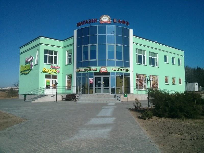 Cafe «Vesna»