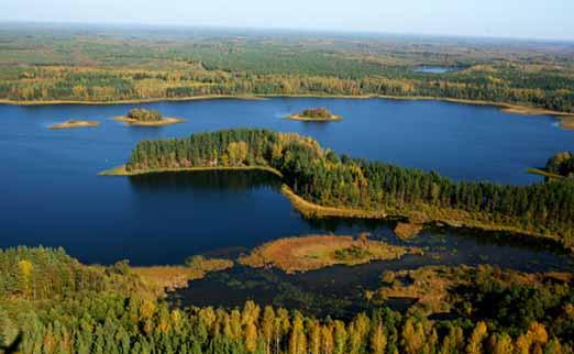 Ecology, forest resources and history of the Ostrovets region