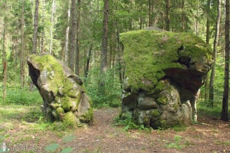 Веломаршрут  г.Слоним -   Расколотый альбертинский  камень - Слоним