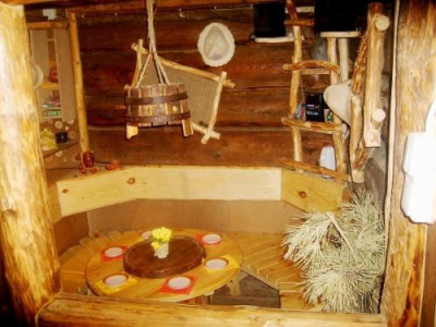 Primus stove