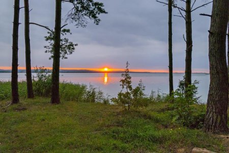Зелёная лента
